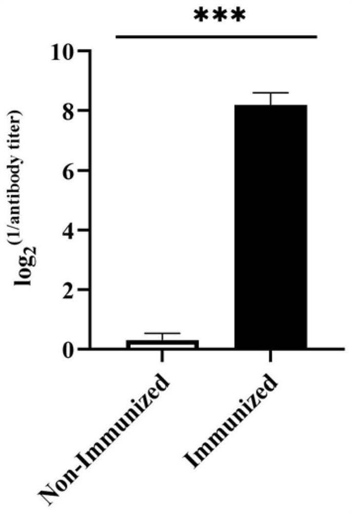 Echinococcus granulosus EgTeg and EgFABP1 multi-epitope vaccine and application