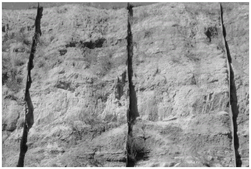 Corrosion-resistance and growth-promotion binary three-dimensional configuration mode suitable for small pisha sandstone area watershed