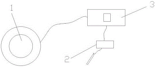 Method for determining firmness degree of pine tree by detection equipment