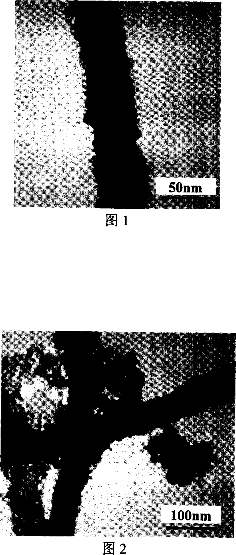 Preparing method of nano-Fe3O4 coating carbon nanotube magnetic composite material