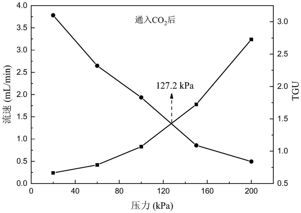 A kind of CO2 prevention for tight oil reservoirs  <sub>2</sub> Gas channeling responsive interpenetrating network gel particles and preparation method thereof