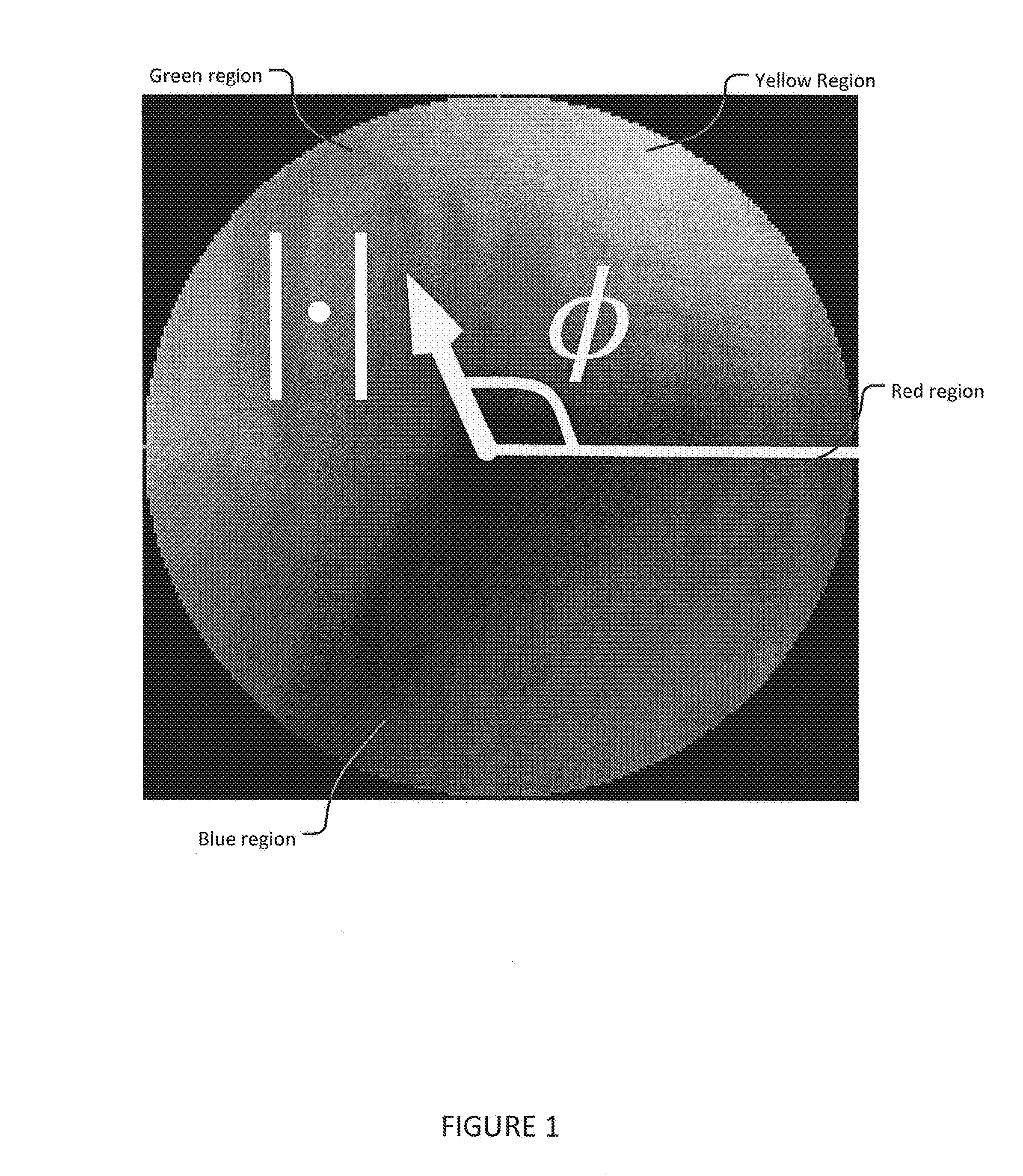 Device and method for spatiotemporal reconstruction of a moving vascular pulse wave in the brain and other organs