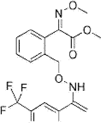 Sterilization composition containing tetraconazole and trifloxystrobin