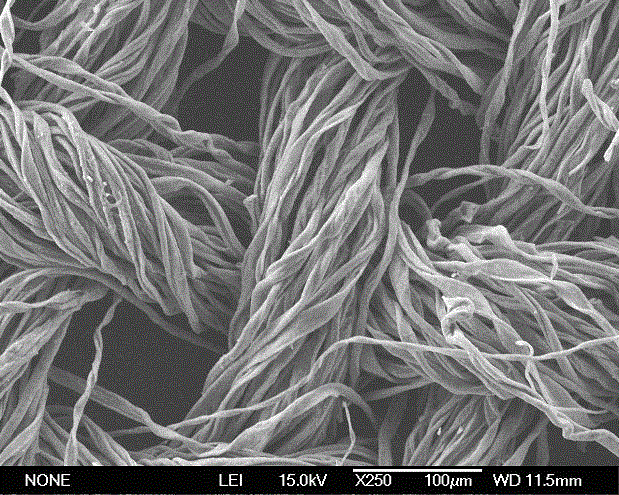 Method for preparing carbon fibre cloth loaded sulphur composite material