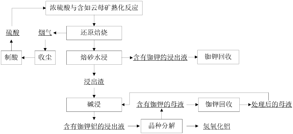 Method for leaching rubidium potassium aluminum from rubidium-containing mica ore