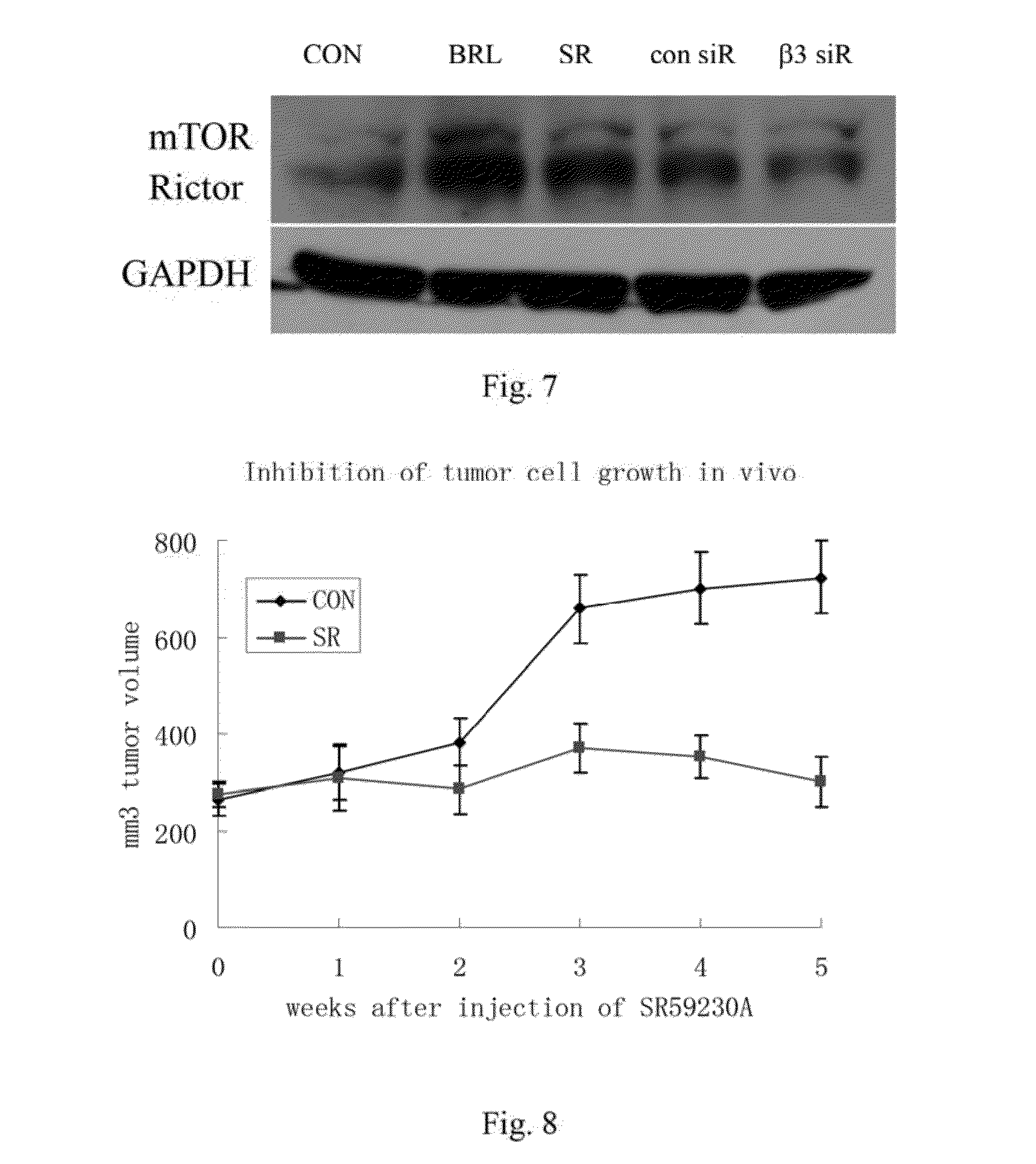 Use of adrenergic beta-e-receptor blockers in cancer treatment