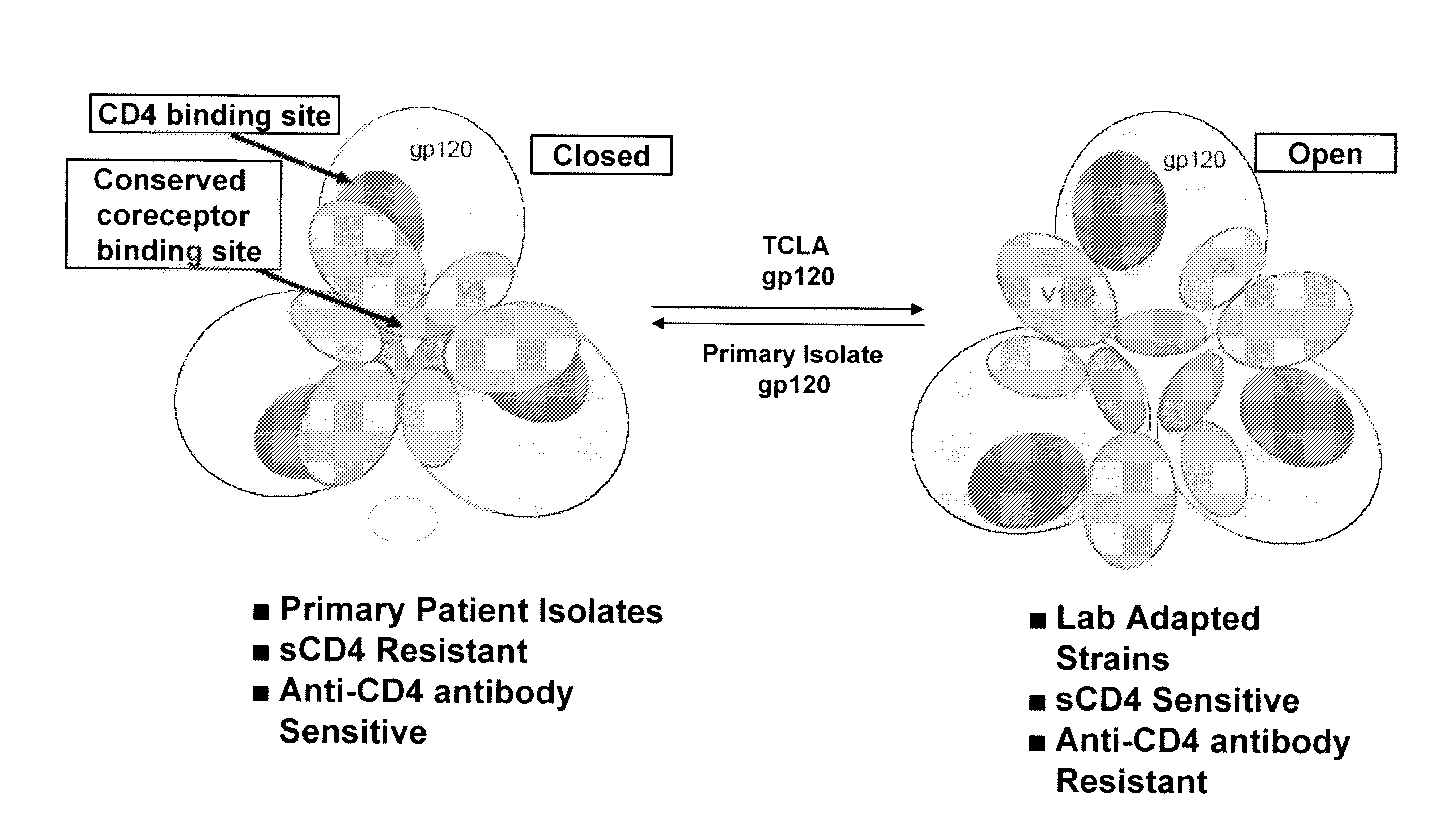 Methods and compositions for the inhibition of HIV infection of t cells