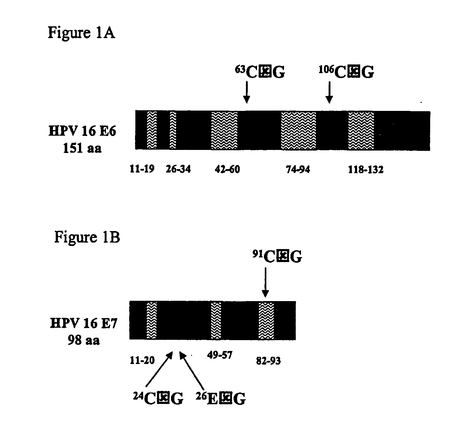 Human papillomavirus polypeptides and immunogenic compositions