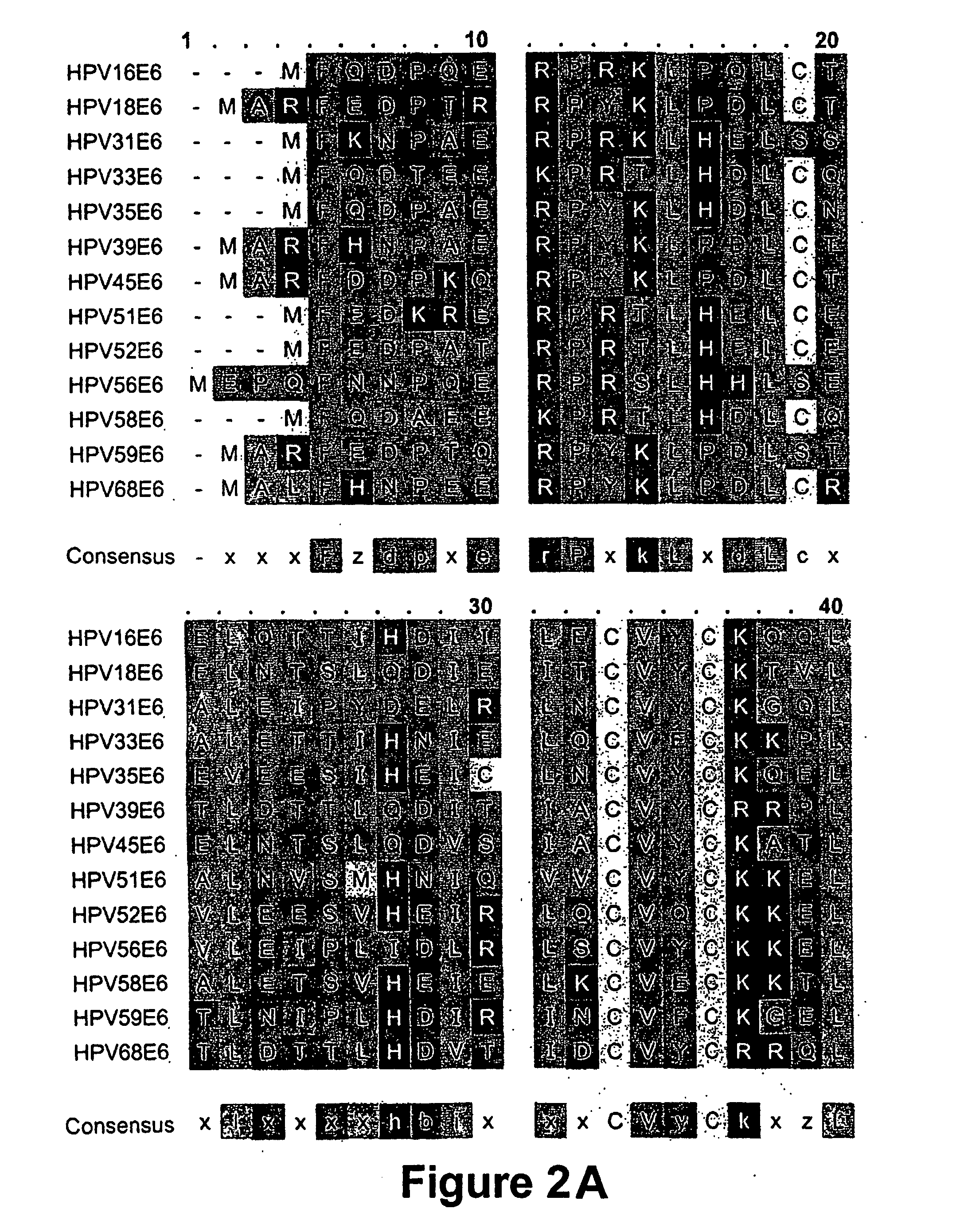 Human papillomavirus polypeptides and immunogenic compositions