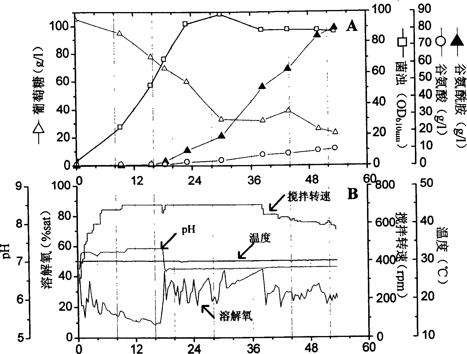 Glutamic acid capable of having high-yield glutamine