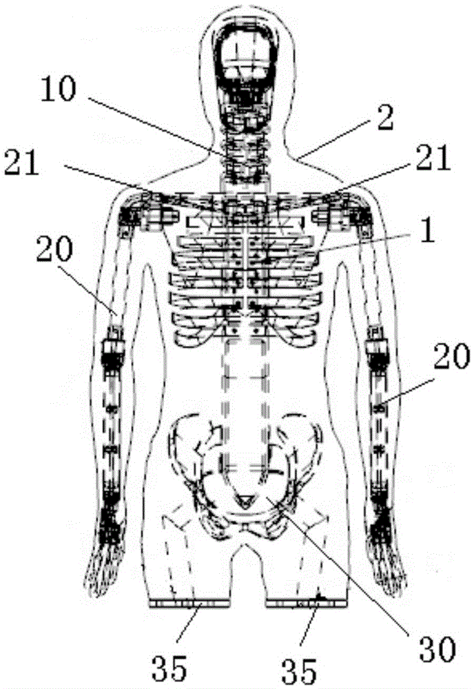 A Dummy for Simulation Trunk Load Test