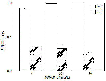 Preparation method and applications of synchronous nitrogen and phosphorus absorption agent