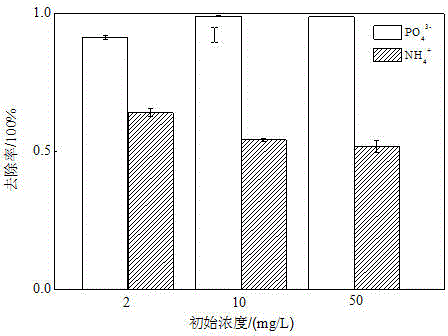 Preparation method and applications of synchronous nitrogen and phosphorus absorption agent