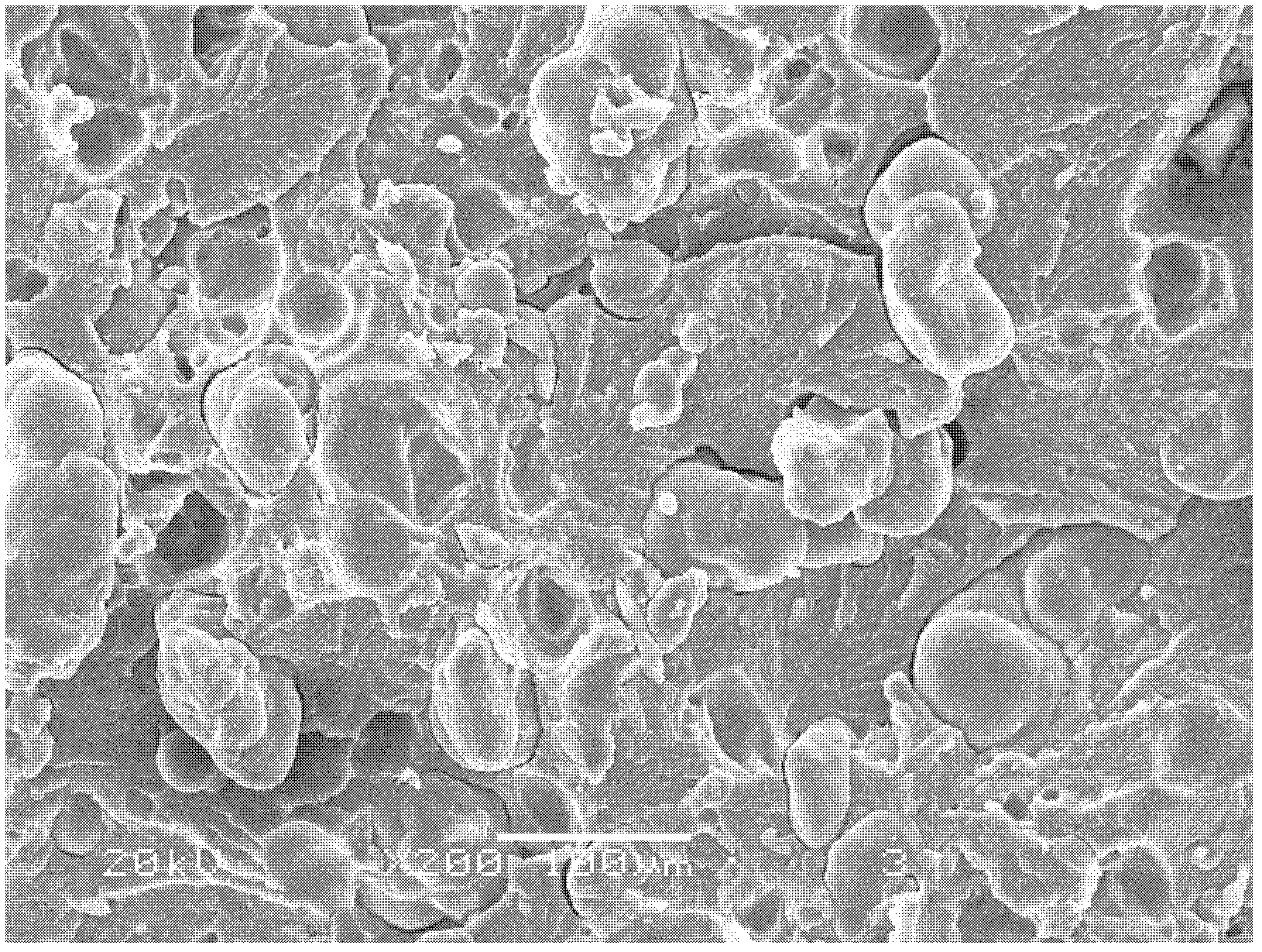 Method for improving effective blending of polymers with different viscosities by aid of supercritical fluids