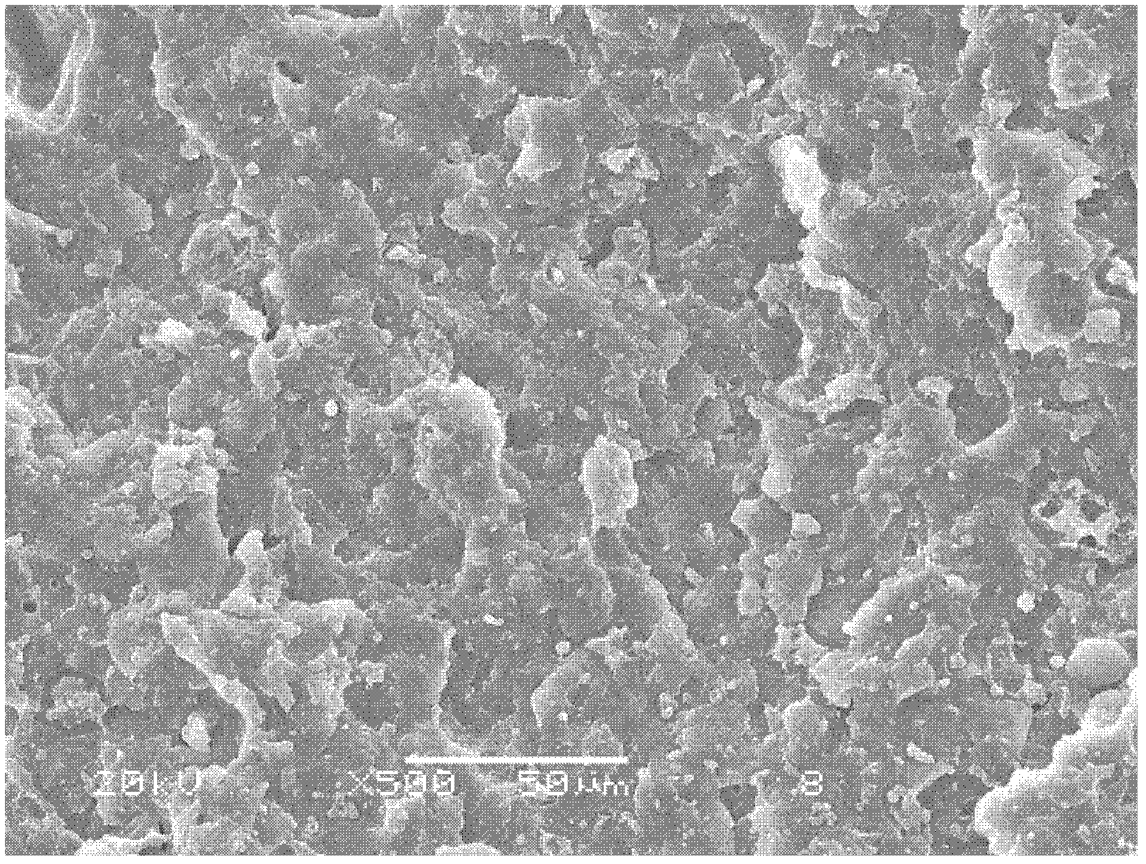 Method for improving effective blending of polymers with different viscosities by aid of supercritical fluids