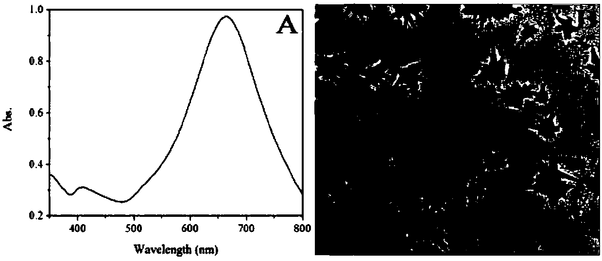 Method for characterizing damage effect of toxin to living cells by SERS spectroscopy