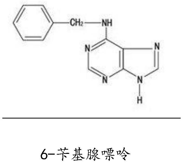 Composition of mesenchymal stem cell secretion factor and content and gynostemma pentaphylla stem cell extract and preparation method thereof