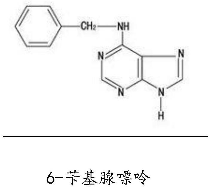 Composition of mesenchymal stem cell secretion factor and content and gynostemma pentaphylla stem cell extract and preparation method thereof