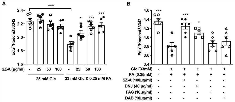 Application of mulberry extract in preparation of medicine for treating pancreas-related diseases