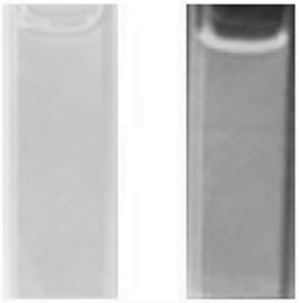 Method for preparing fluorescent carbon dots by pyrolyzing ammonium carboxylate