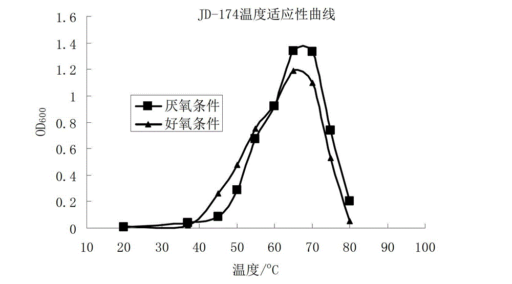 Anoxybacillussp and application thereof