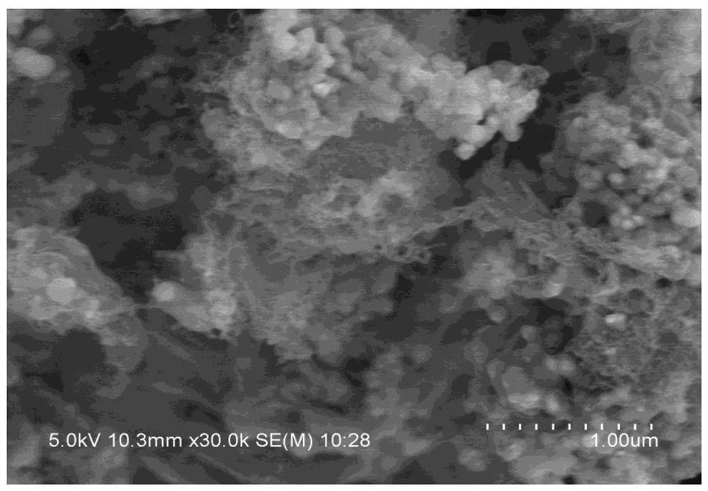 Silicon-carbon-carbon nanotube composite negative electrode material and preparation method and application thereof