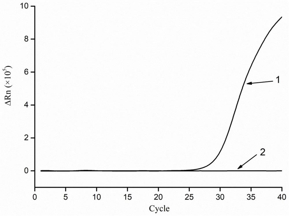 A kind of lysate and method for extracting meat nucleic acid