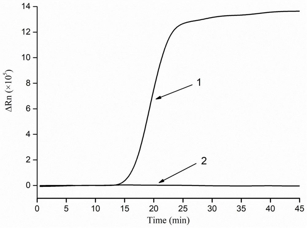 A kind of lysate and method for extracting meat nucleic acid