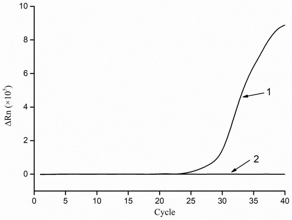 A kind of lysate and method for extracting meat nucleic acid