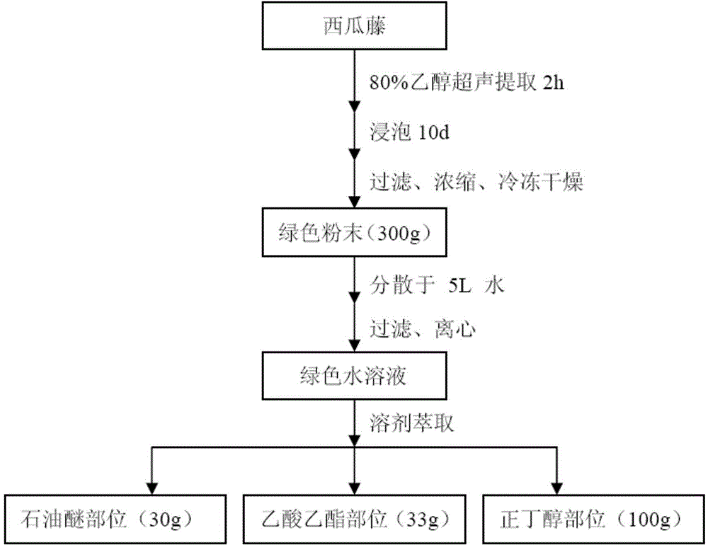 Watermelon vine extract capable of treating diabetes as well as preparation method and application of watermelon vine extract