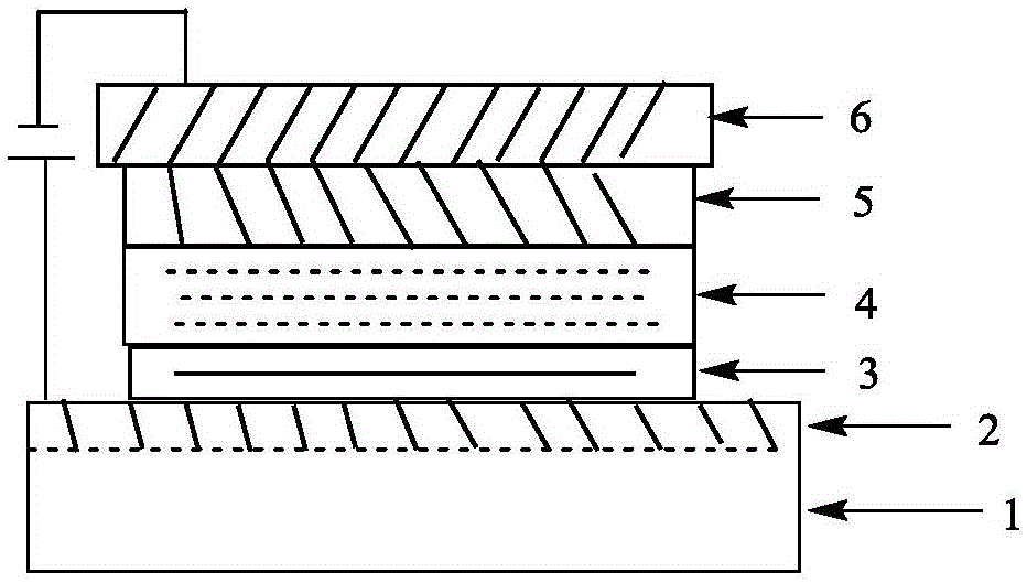 Derivative of dibenzofuran and preparation method and application thereof