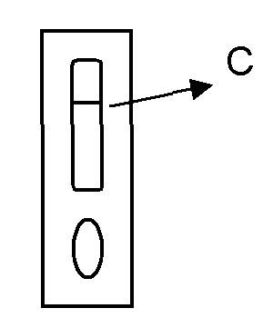 Ketamine-collaurum test paper for detection of saliva