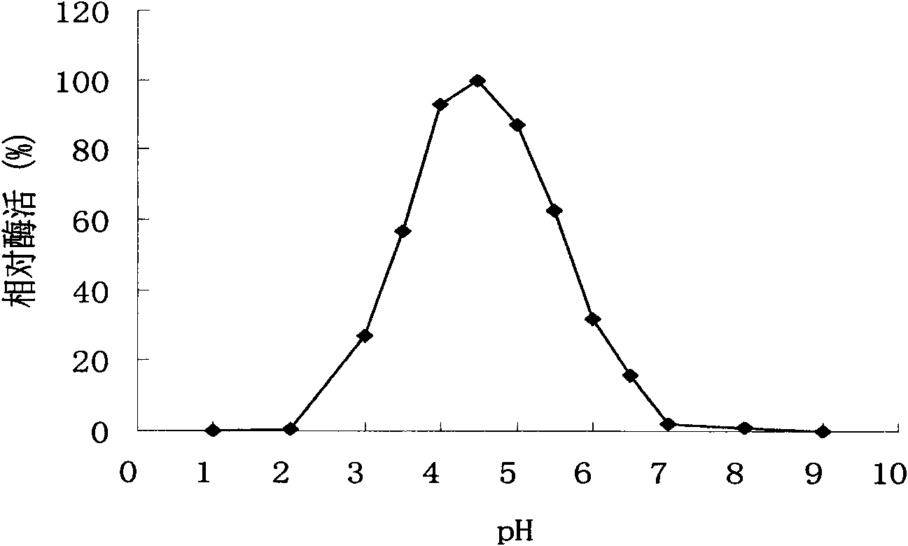 High-specific-activity xylanase XYN11F63 and genes and application thereof