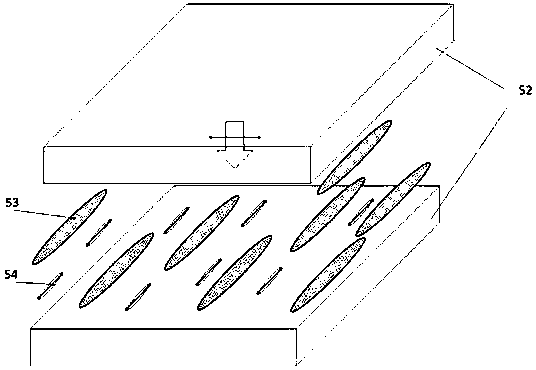 Optical orientation device for achieving arbitrary distribution through single exposure and preparation method of optical element