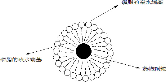 A kind of drug eluting balloon catheter and preparation method thereof