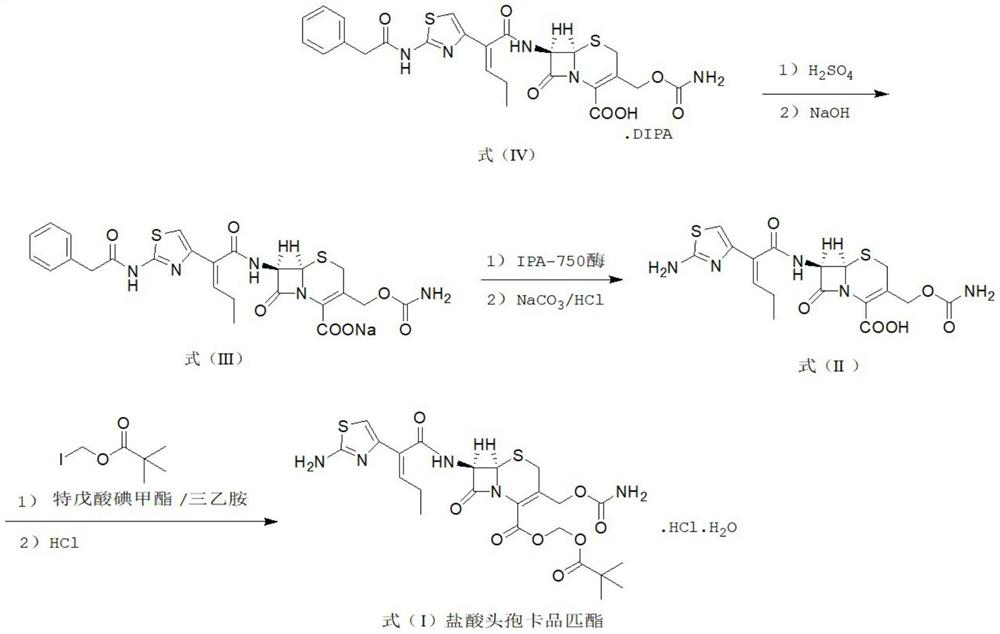 Method for synthesizing cefcapene pivoxil hydrochloride by using enzyme method and synthesized intermediate of cefcapene pivoxil hydrochloride