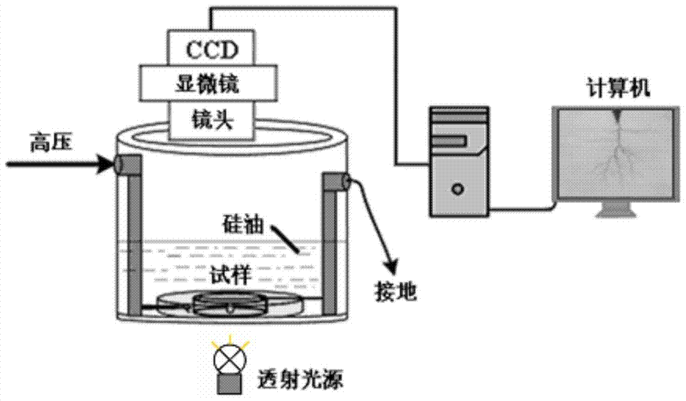 Real-time Microscopic Observation Test System of Electric Dendrite Characteristics in Solid Insulation Under DC Voltage