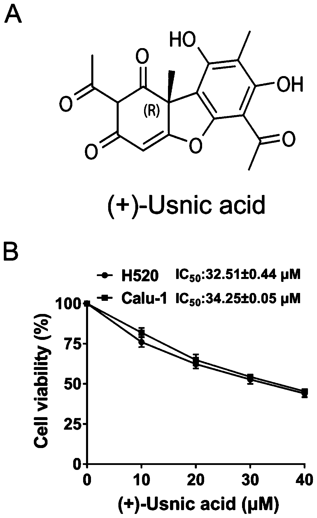 Application of d-usnic acid or combination of d-usnic acid and paclitaxel in preparing drug for treating and resisting lung squamous carcinoma