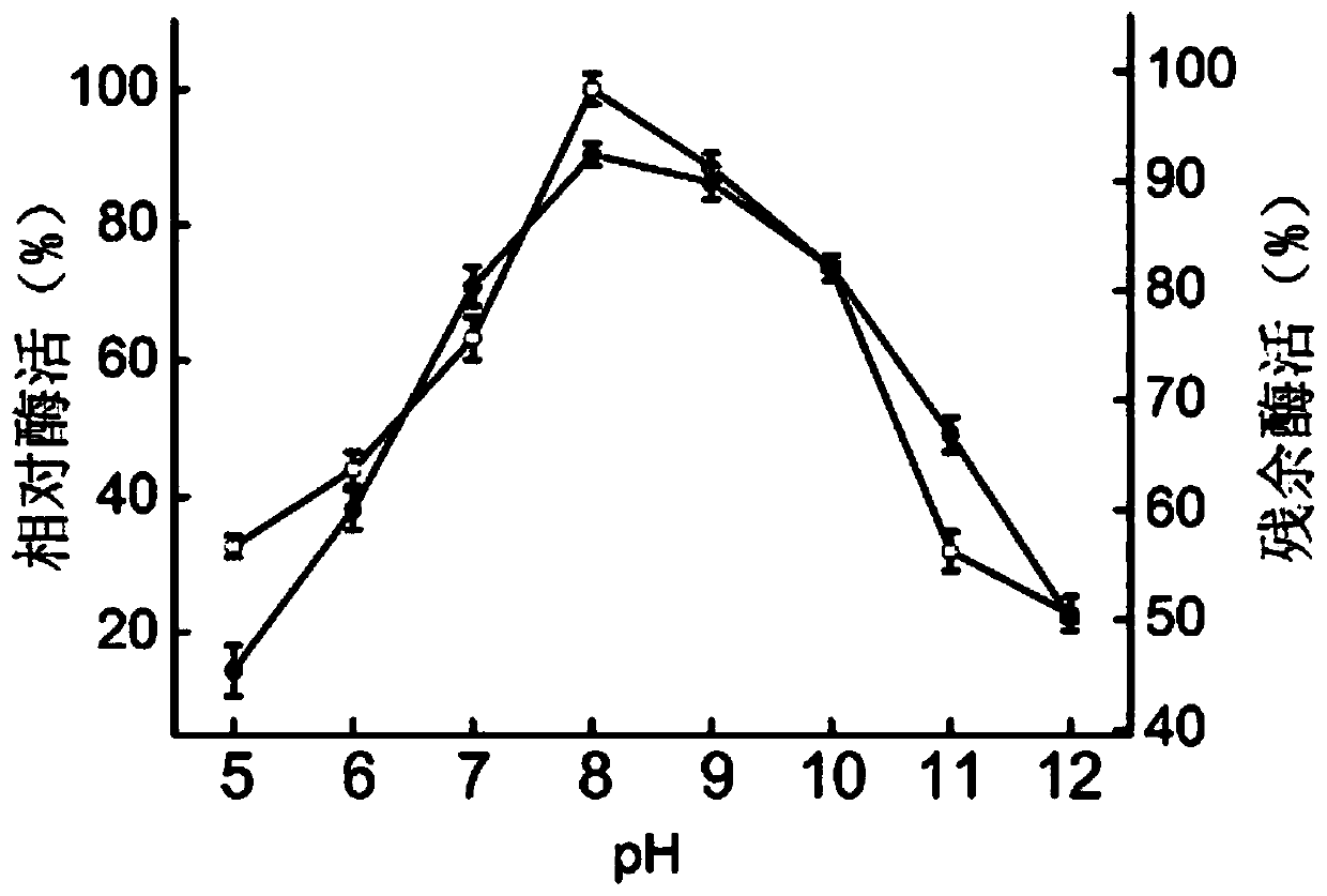 Compound of keratinase and application in industrial production