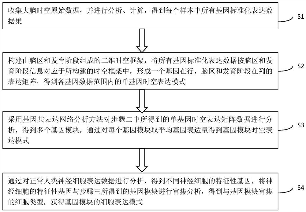 A method for establishing spatiotemporal norms of human brain gene expression