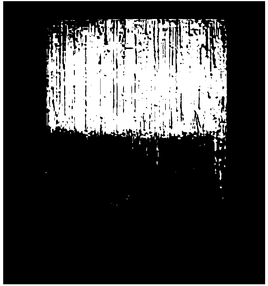 Coating method and device for size coating of microporous honeycomb ceramic carrier with openings at two ends