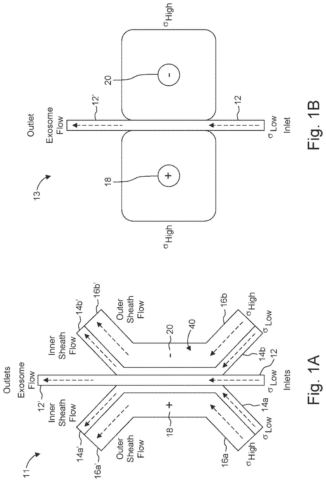 Method and Device for Exosomes Electroporation