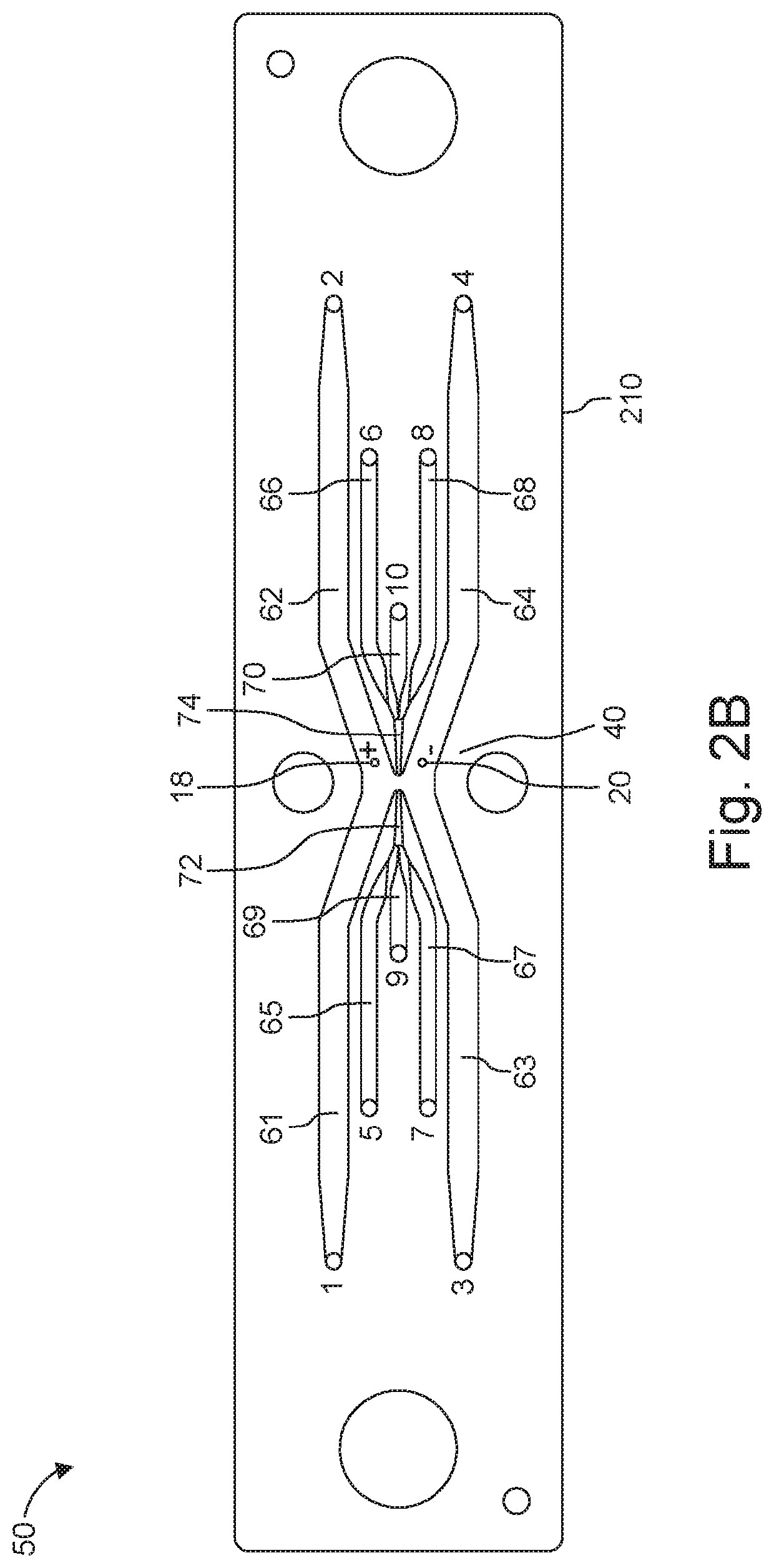 Method and Device for Exosomes Electroporation