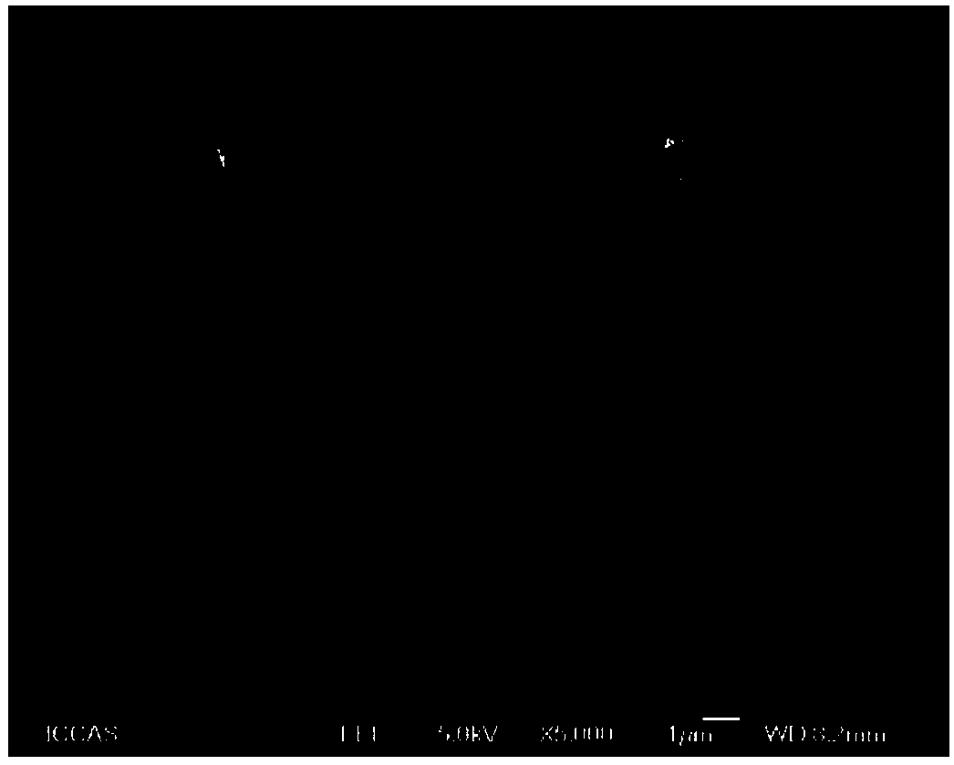 A kind of solid avermectin microparticle preparation and its preparation method and application