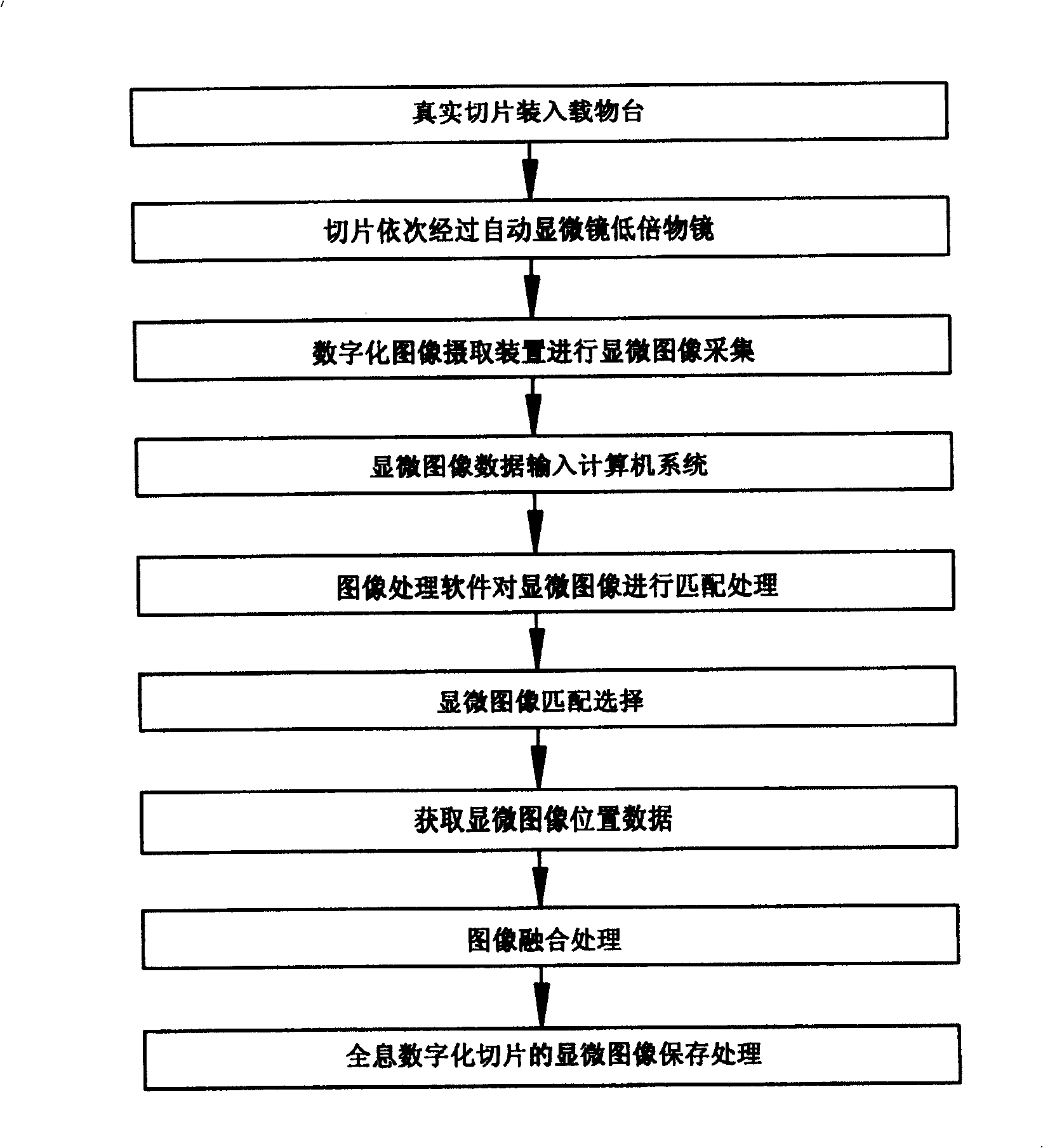 Method for preparing microscopic image of holographic digitalized sliced sheet