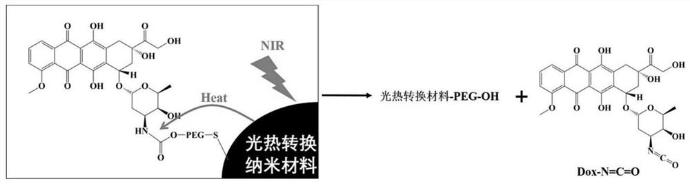 Doxorubicin prodrug for combined use of tumor penetration enhanced photo-thermal and chemotherapy and preparation method of doxorubicin prodrug