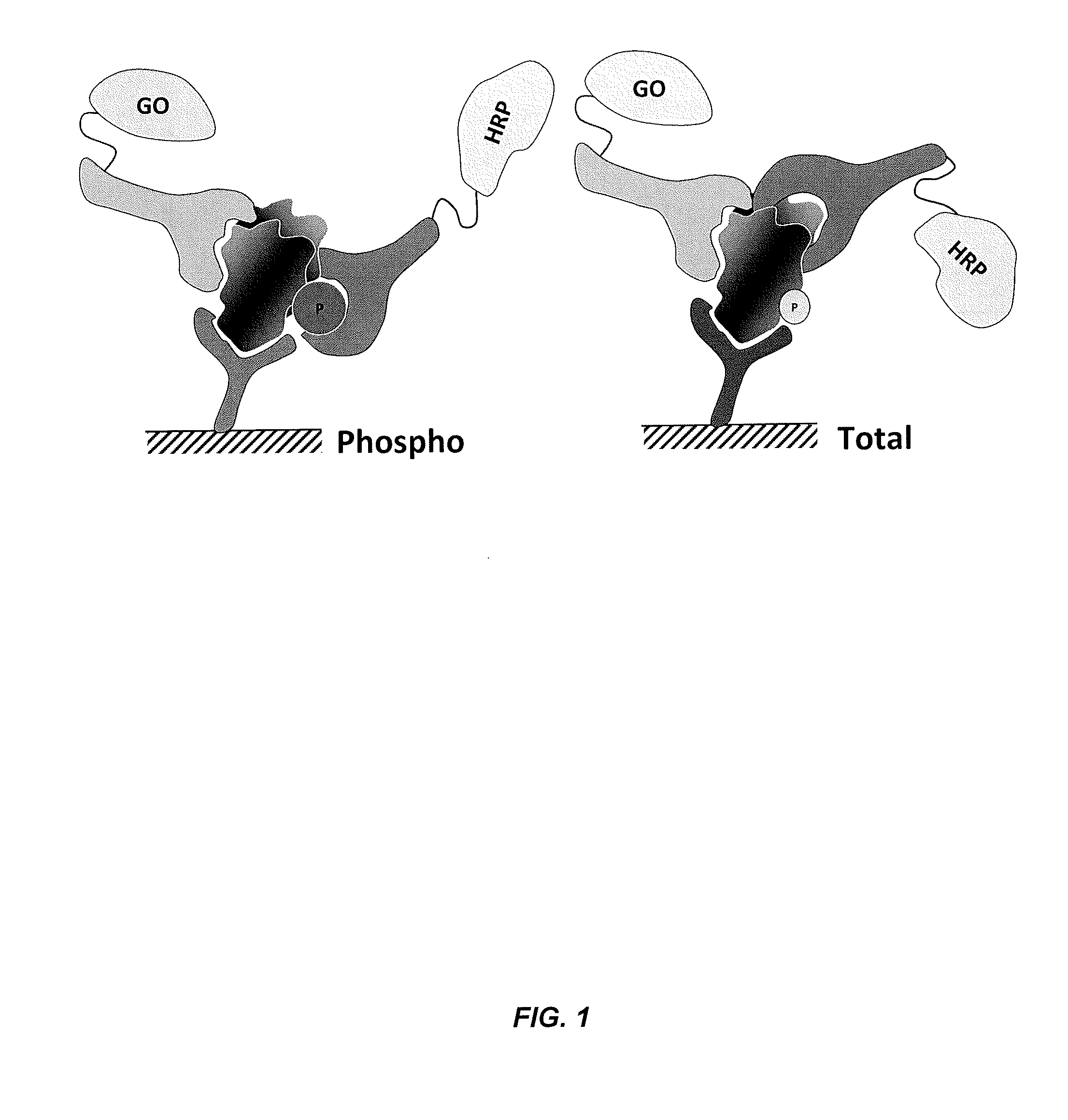 Methods for predicting and improving the survival of gastric cancer patients