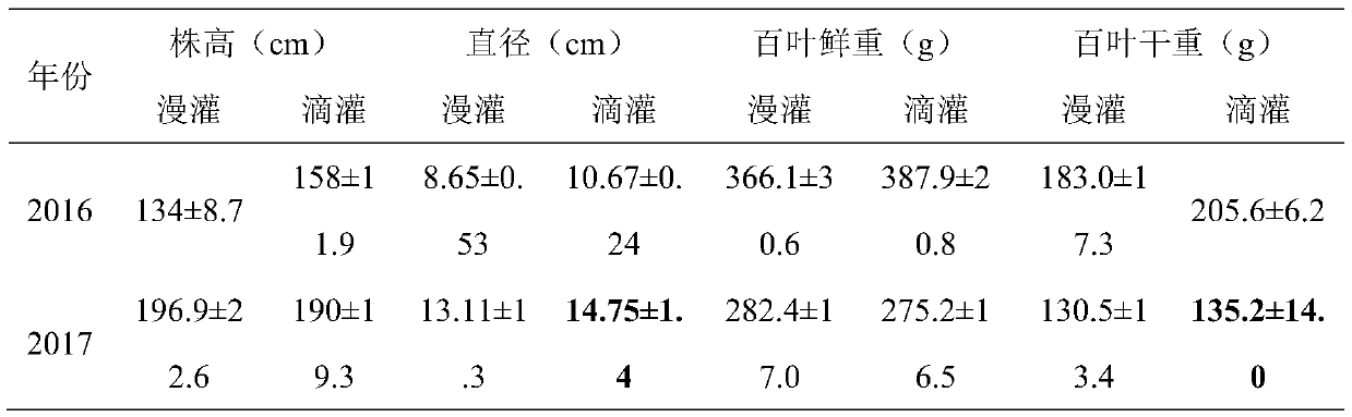 Water-soluble fertilizer for young fruit trees and application thereof