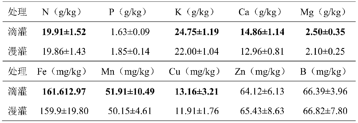 Water-soluble fertilizer for young fruit trees and application thereof