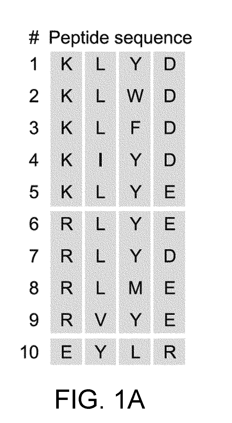 Tetrapeptide having effect of inhibiting VEGF-induced angiogenesis and use thereof